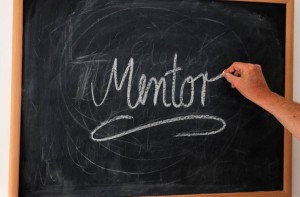 mentor support programmes available to Northern Ireland small businesses