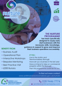 Watson & Co Chartered Marketing Chartered Marketer Christine Watson to deliver marketing mentoring services on the Antrim and Newtownabbey Borough Council Business Mentoring Programme Nurture. The programme is managed by Antrim Enterprise Agency.